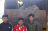 Vittal police detect cattle trafficking case ; arrest three persons